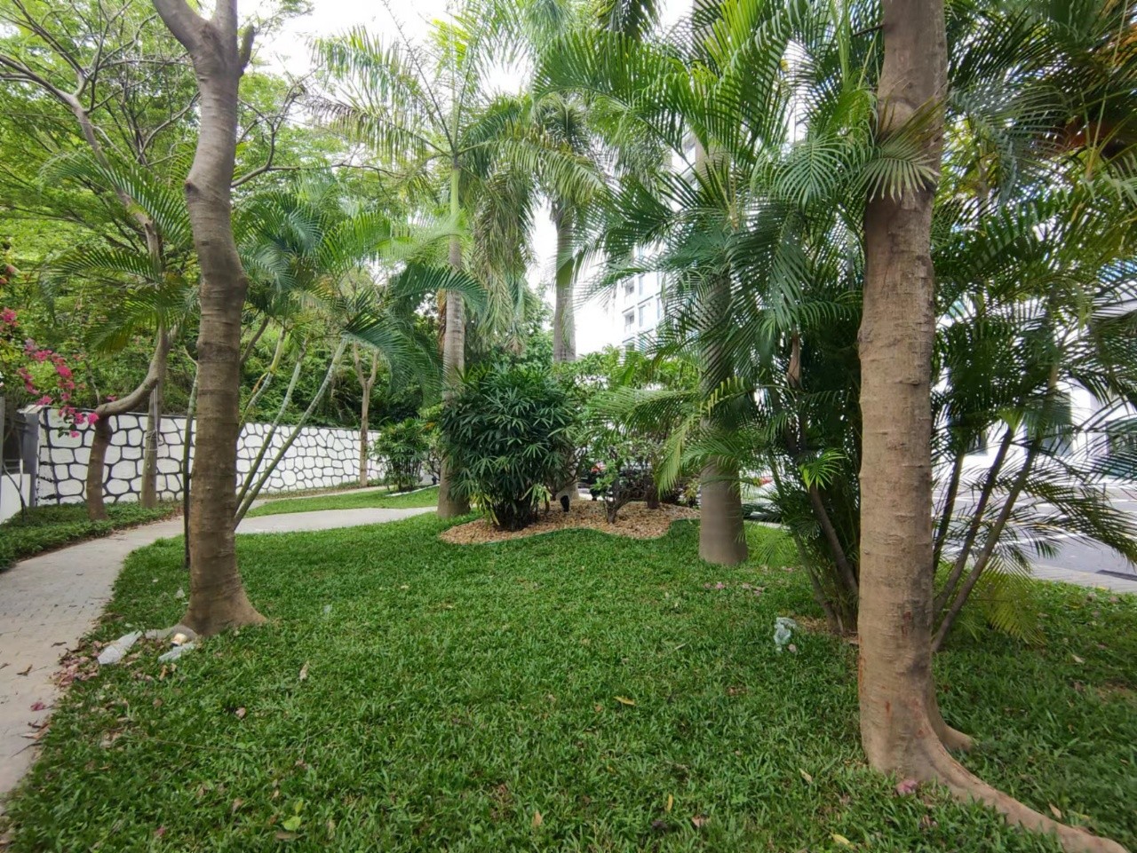 1656744257316688.jpg 2.jpg