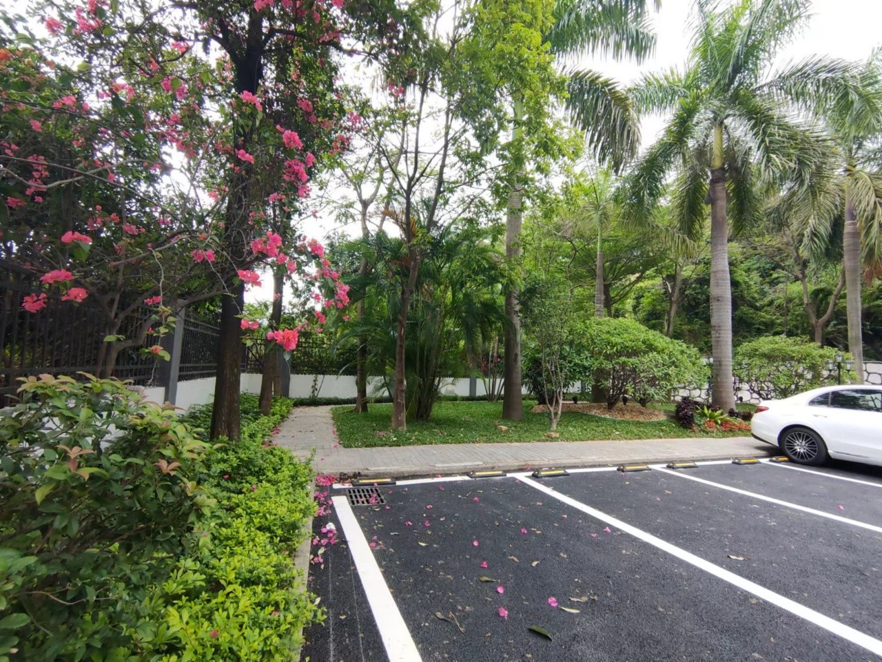 1656744282928034.jpg 3.jpg