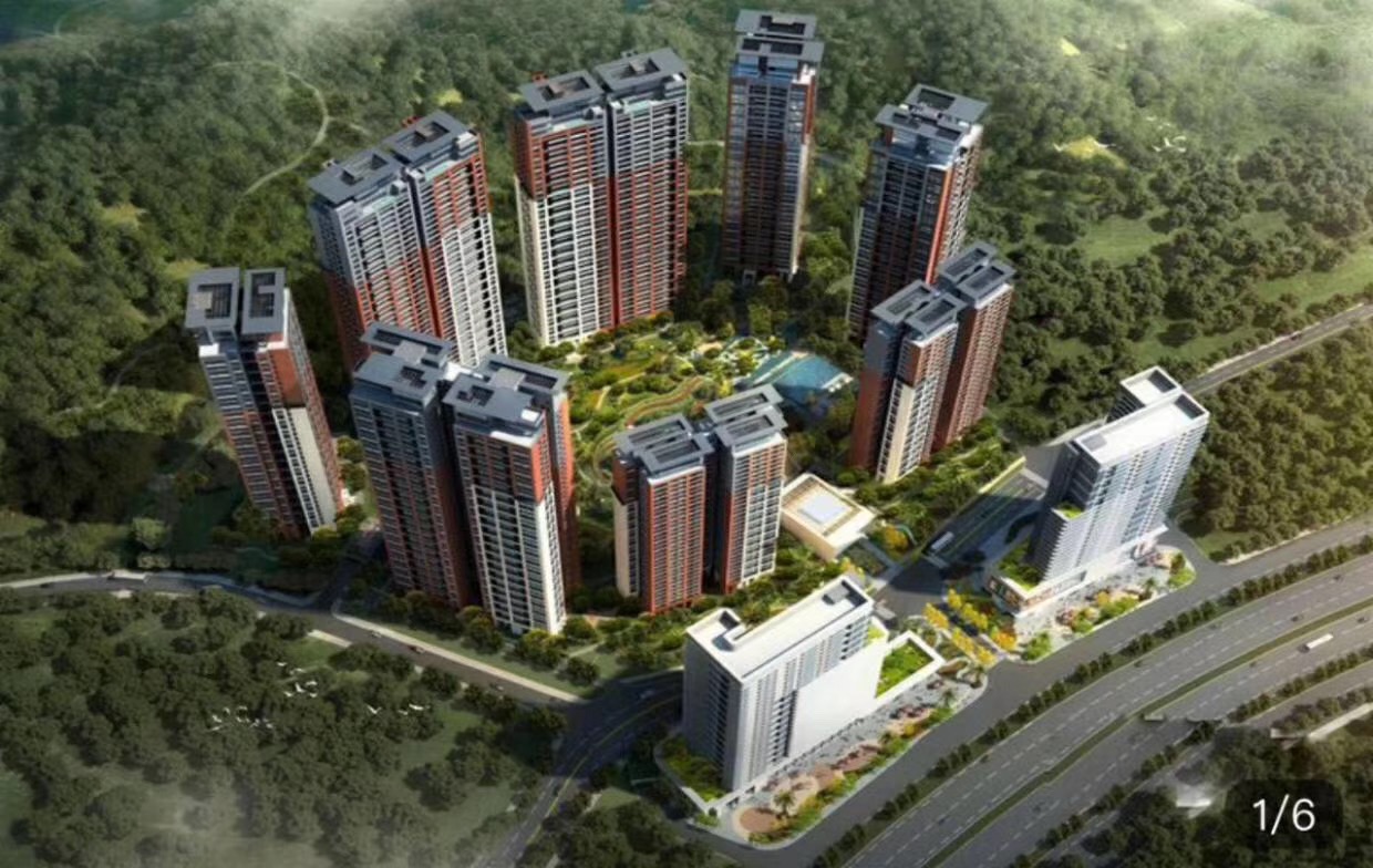 龍華大型統(tǒng)建樓