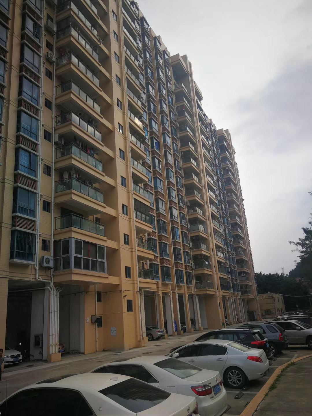 光明村委統(tǒng)建樓