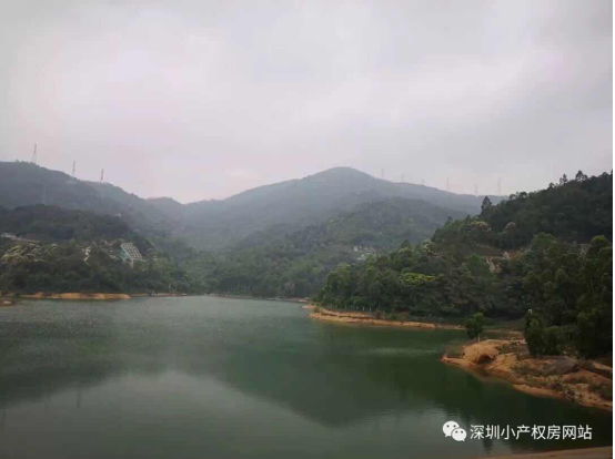 山水綠園一房一廳56平方，56.8萬/套起