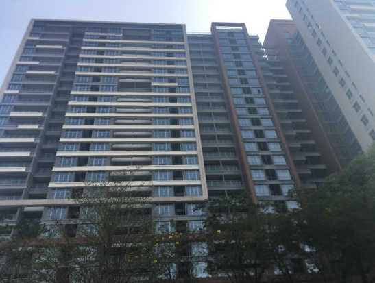 觀瀾湖一號(hào)一房一廳69一72平米