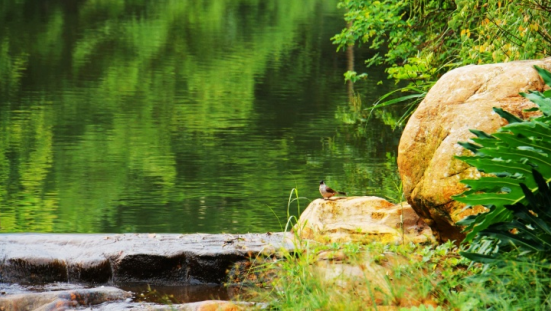 合郡領(lǐng)薈一房總價(jià)60萬起