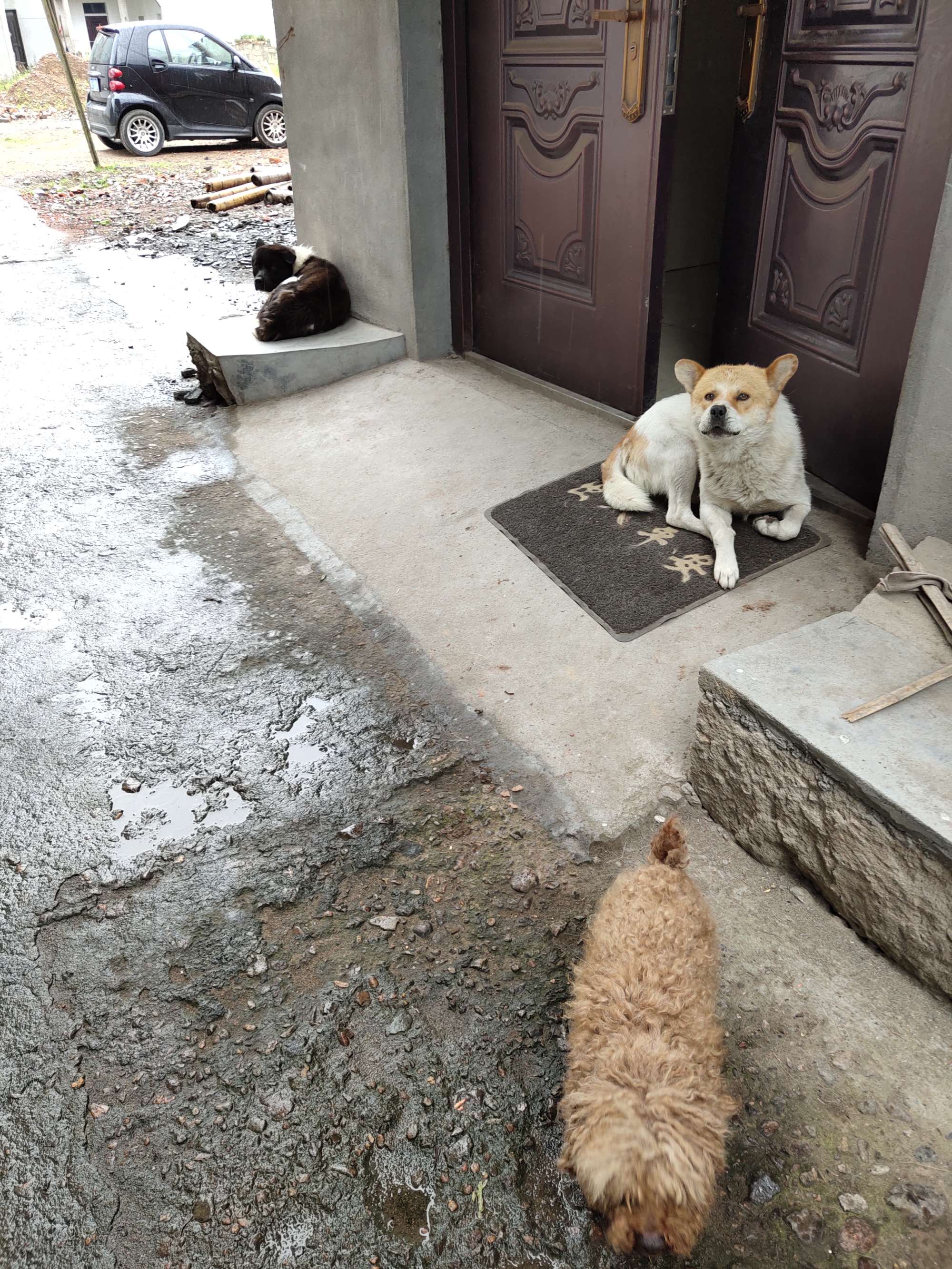 開發(fā)商建差不多的房子