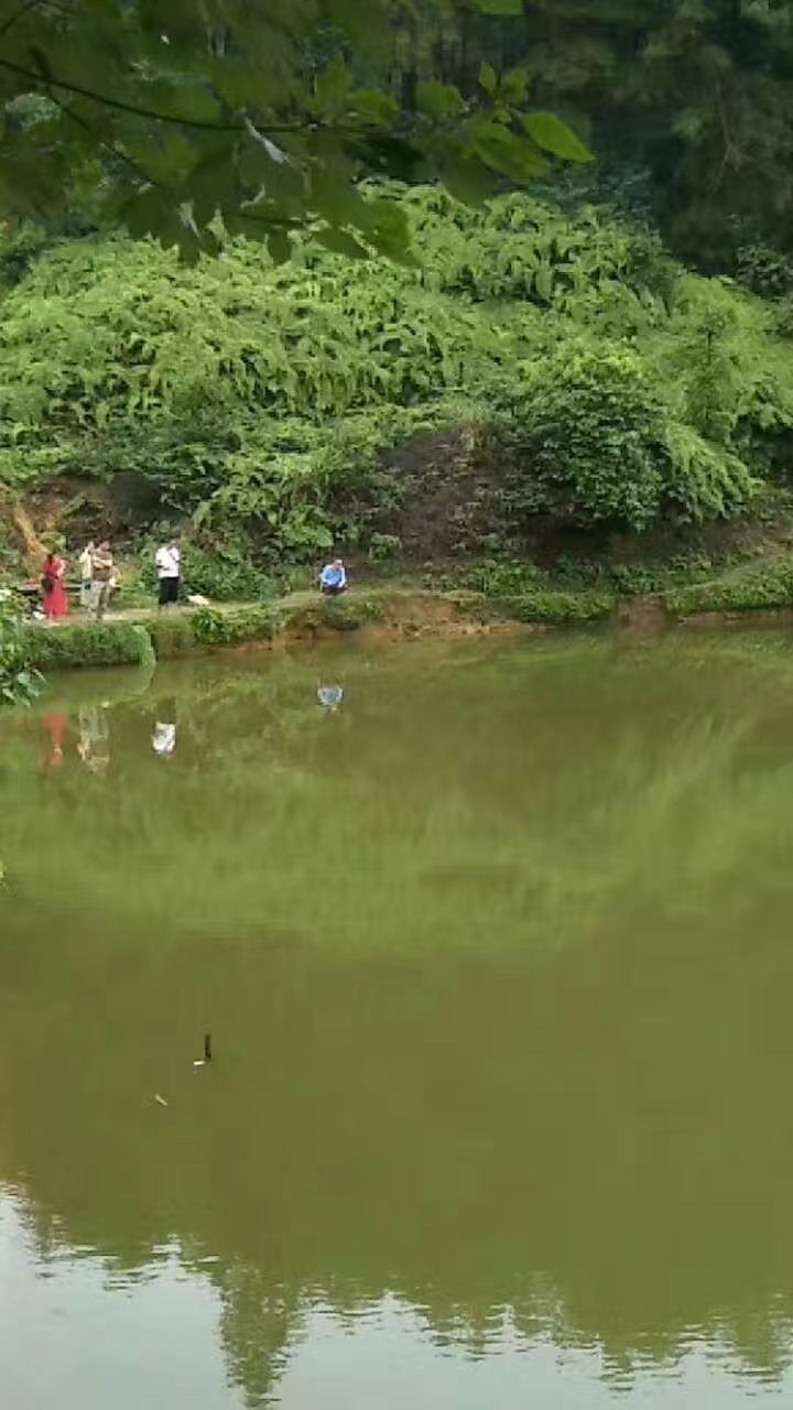 他們在業(yè)余時間到農(nóng)村去釣魚和種菜