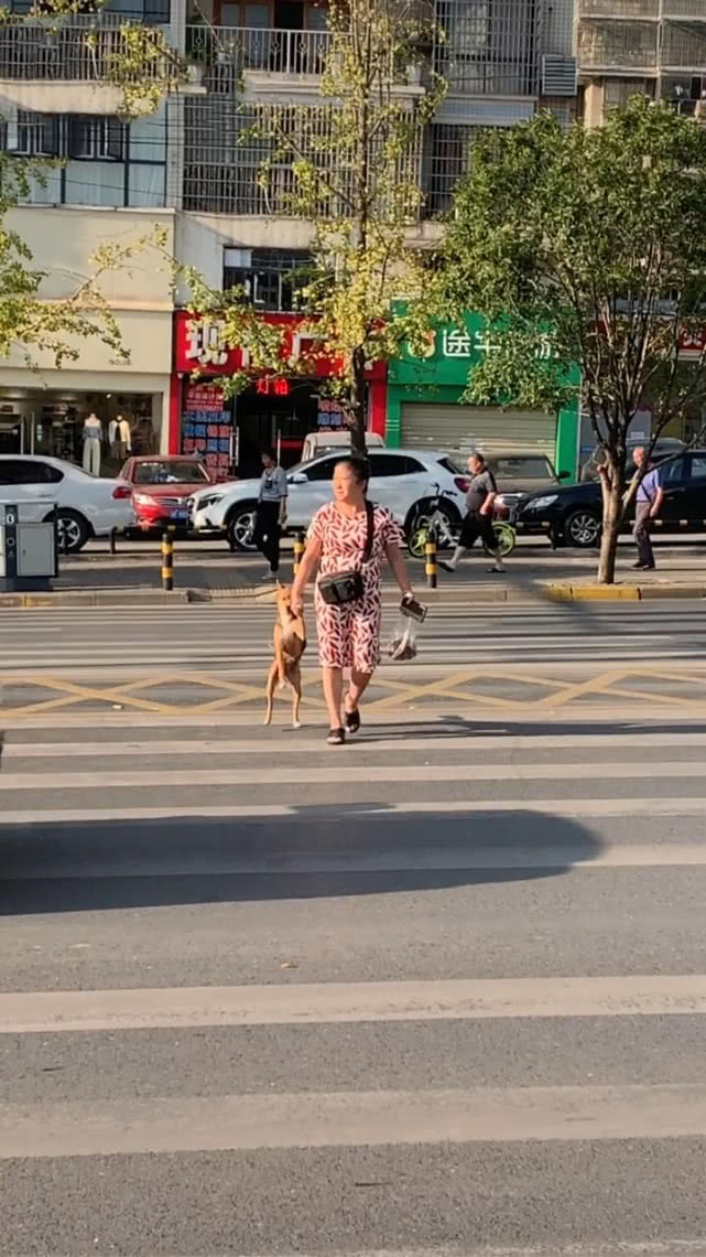 冼村大部分地塊房屋已經(jīng)進(jìn)入拆除階段