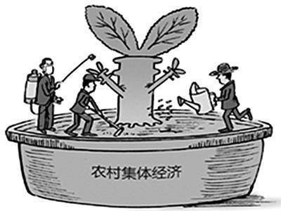 非本集體經(jīng)濟組織的成員